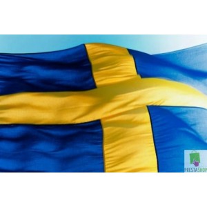 Swedish VPN Semi-Annually