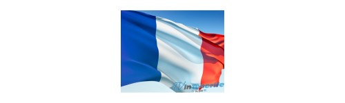 FR French VPN
